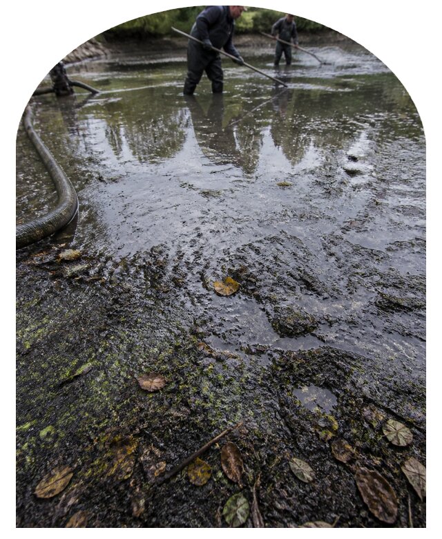 Очистка пруда в Махачкале от ила мусора и водорослей с вывозом